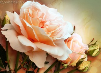 Фотообои De-Art Букет роз